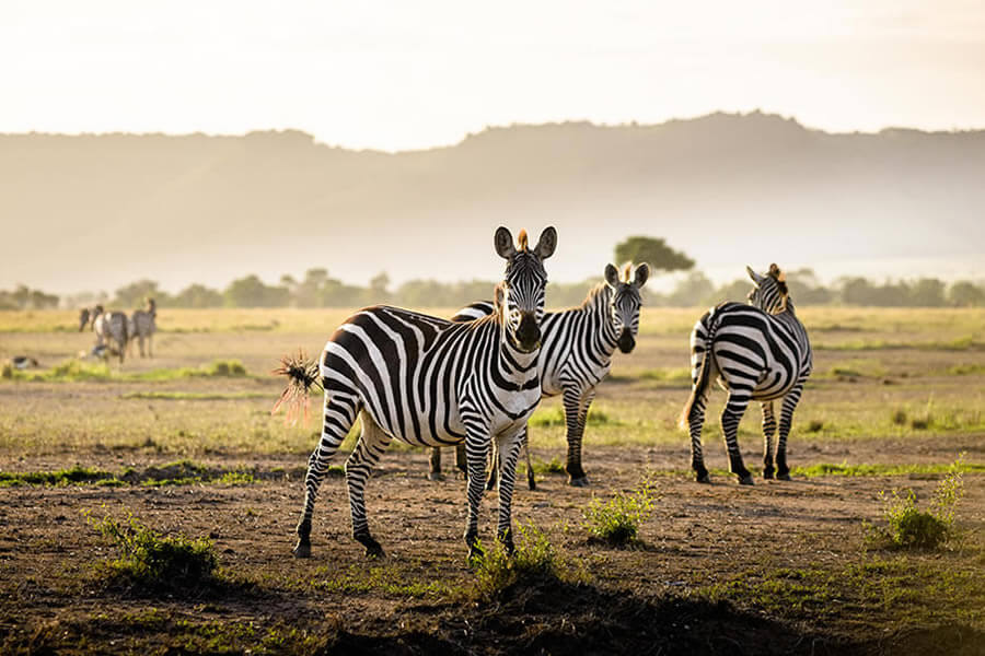 Ngorongoro Conservancy