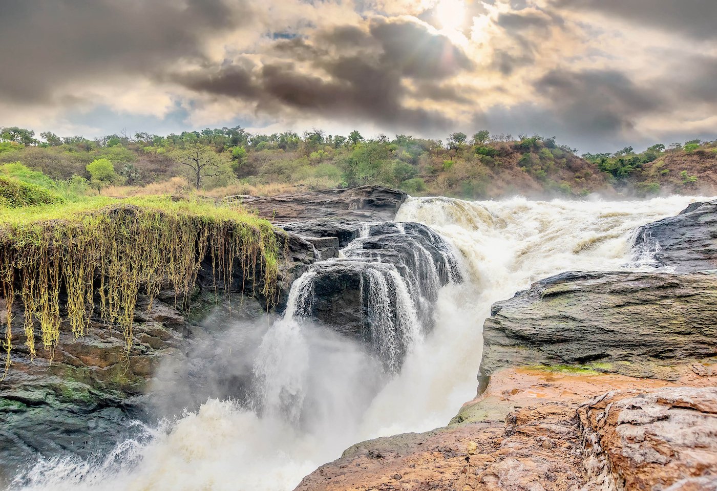 6 Days Murchison Falls& Kibale National Park Safari