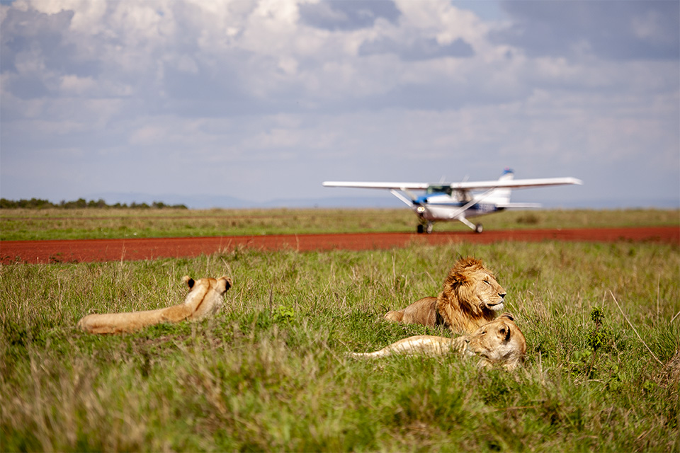 3 Days Maasai Mara Flying Luxury Safari