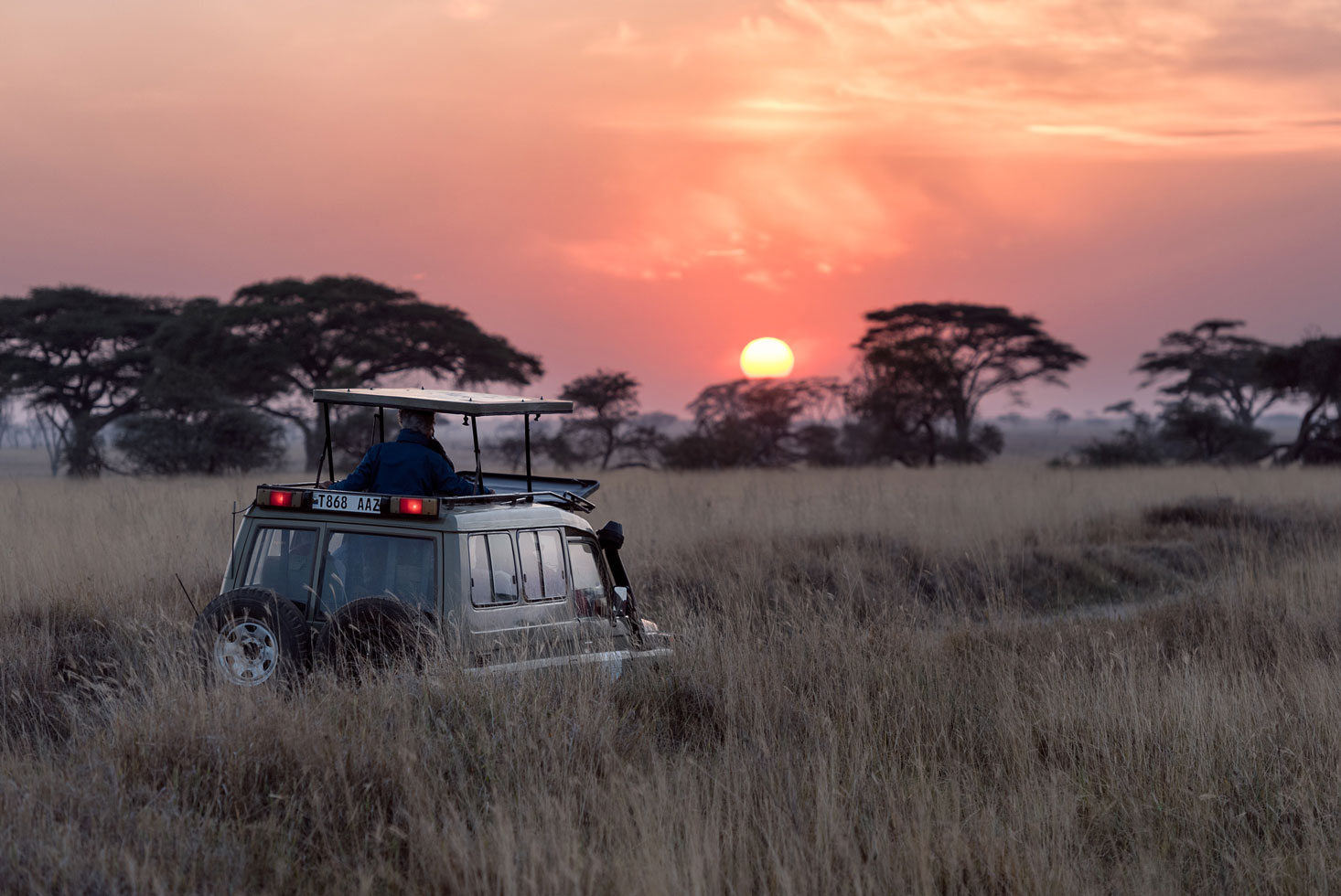 7 Days Taste of Tanzania Parks Safari