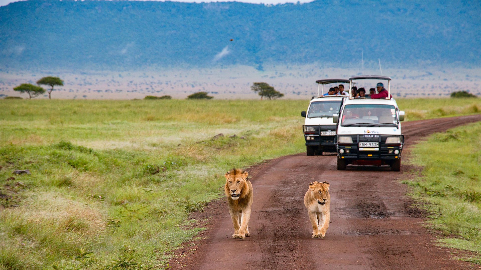 Maasai Mara Overnight Safari