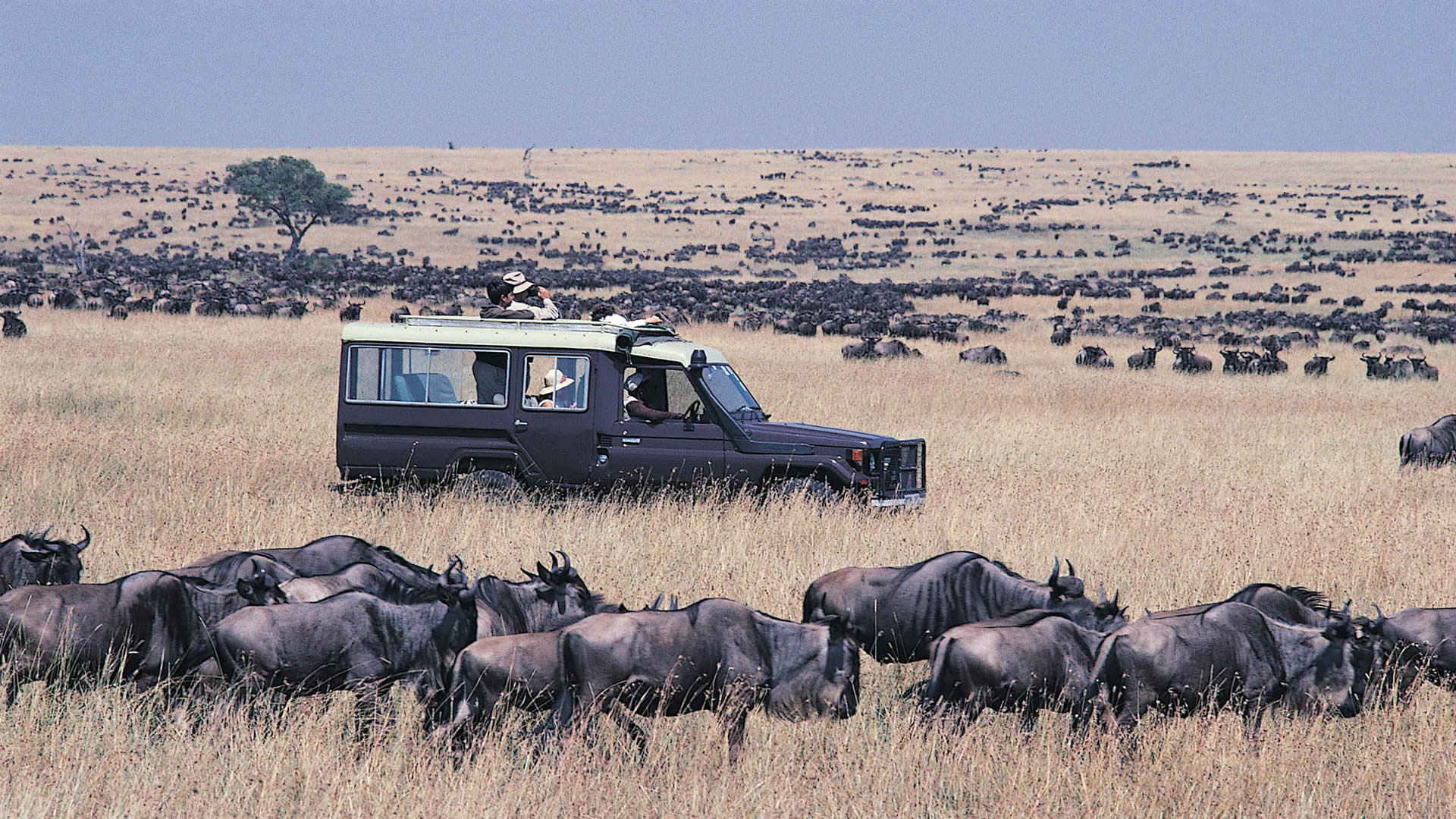 3 Days Maasai Mara Safari