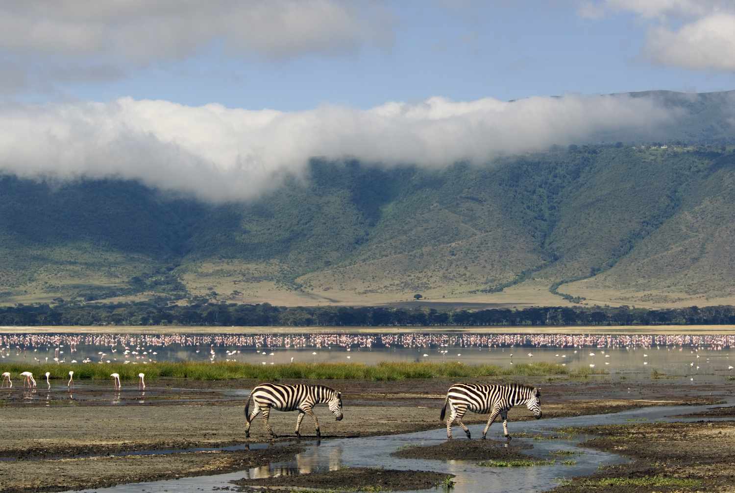 8 Days Kenya and Tanzania Luxury Safari