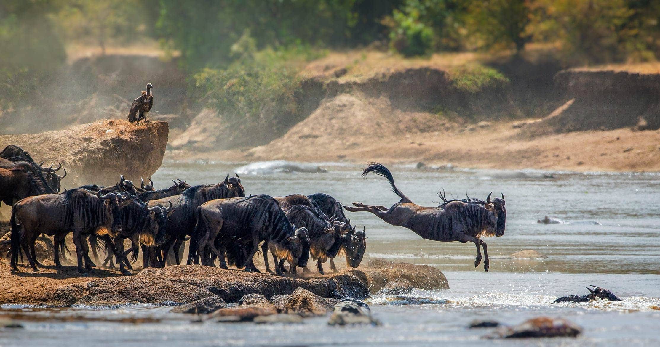 3 Days Serengeti Flying Safari